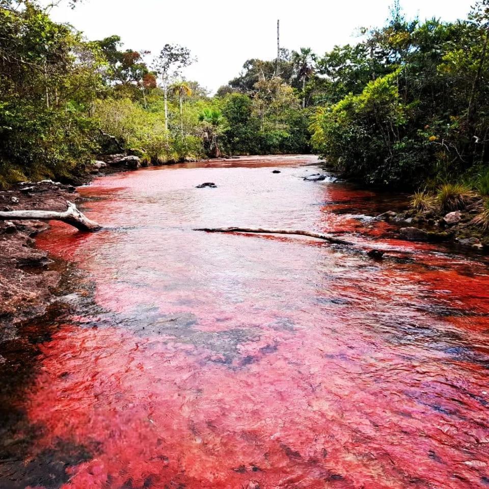 Hotel Ecologico Makalombia La Macarena ภายนอก รูปภาพ