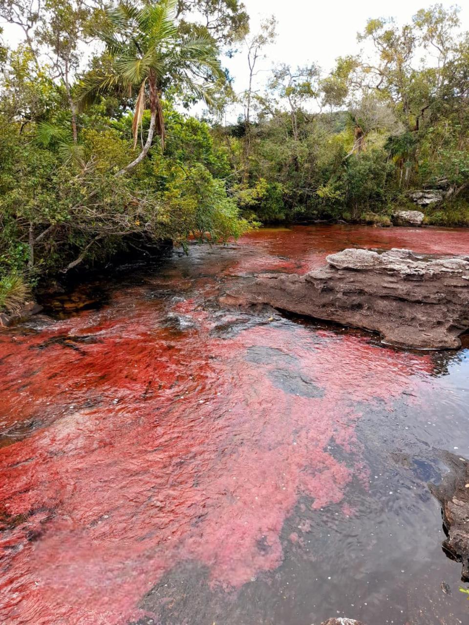 Hotel Ecologico Makalombia La Macarena ภายนอก รูปภาพ