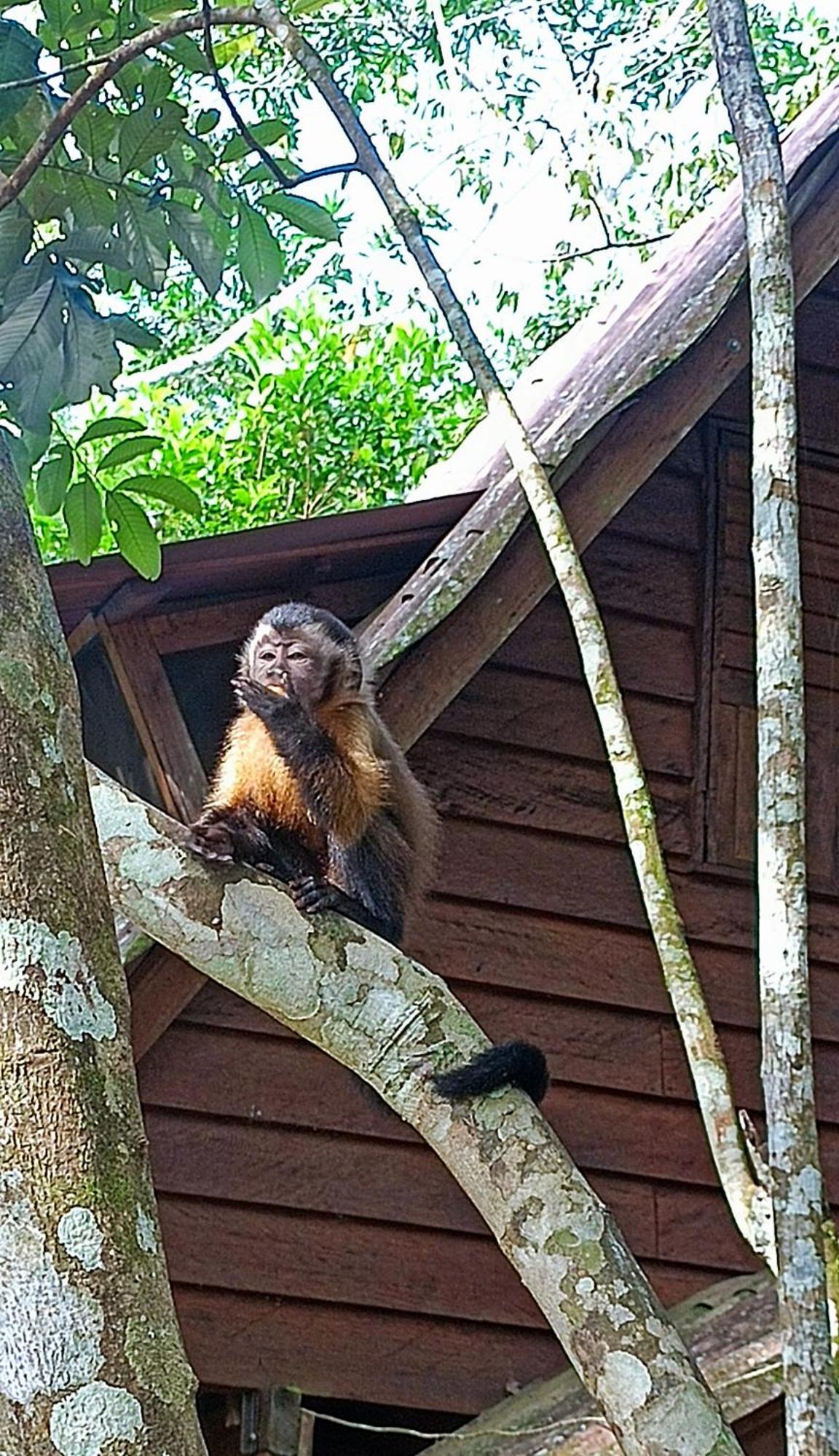 Hotel Ecologico Makalombia La Macarena ภายนอก รูปภาพ