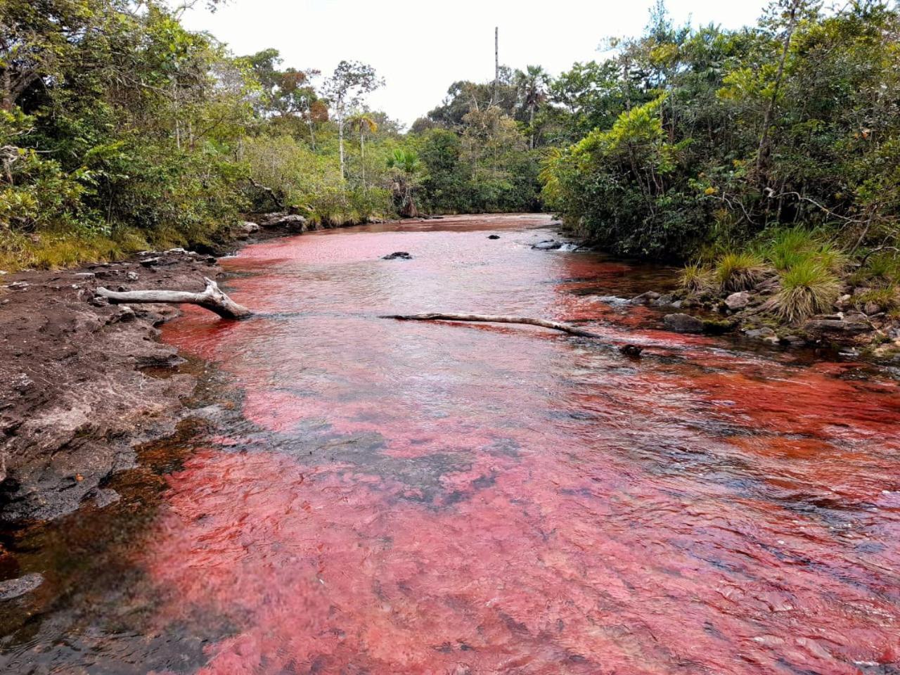 Hotel Ecologico Makalombia La Macarena ภายนอก รูปภาพ
