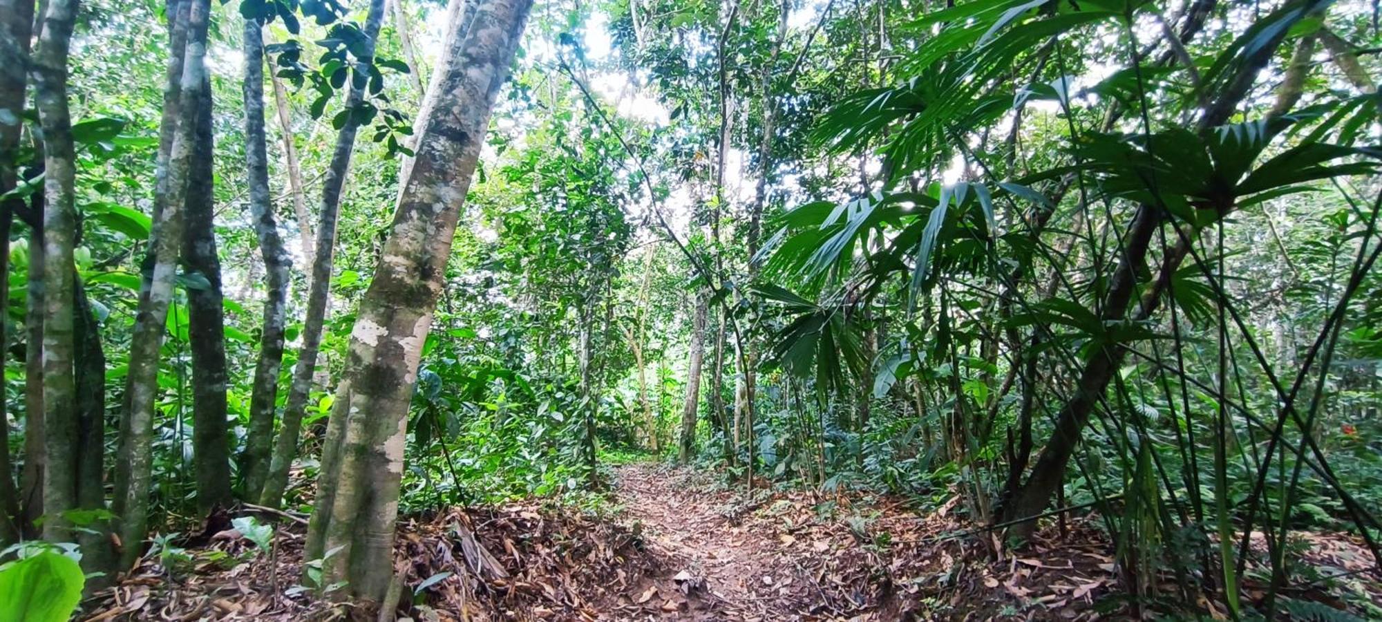 Hotel Ecologico Makalombia La Macarena ภายนอก รูปภาพ