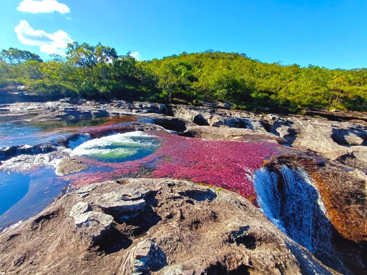 Hotel Ecologico Makalombia La Macarena ภายนอก รูปภาพ