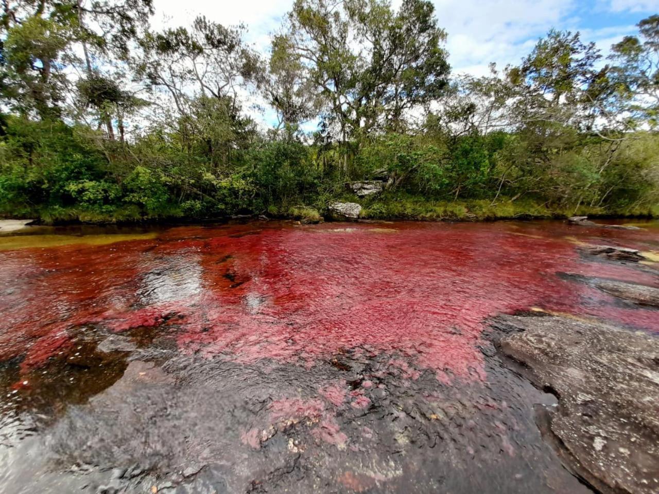 Hotel Ecologico Makalombia La Macarena ภายนอก รูปภาพ