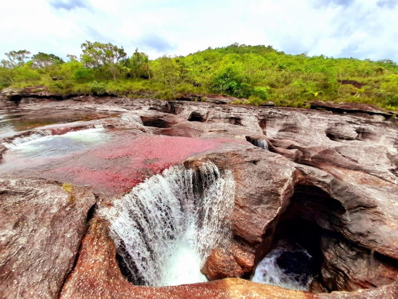 Hotel Ecologico Makalombia La Macarena ภายนอก รูปภาพ