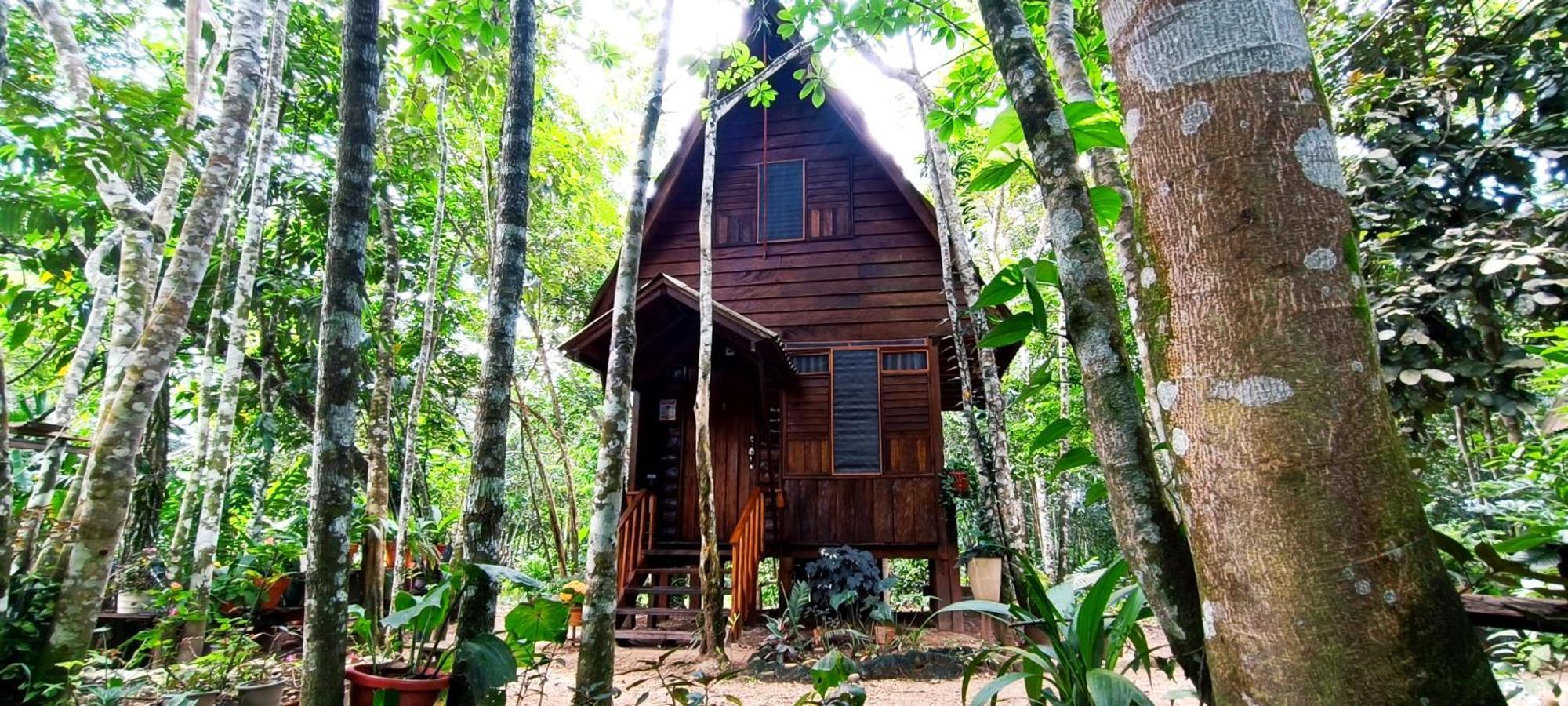Hotel Ecologico Makalombia La Macarena ภายนอก รูปภาพ